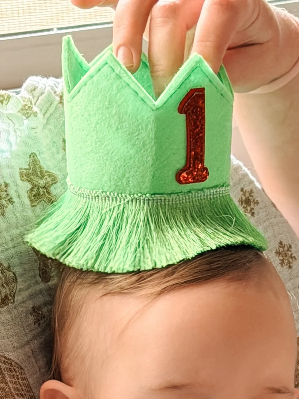 First Birthday Grinch Decor with Highchair tassels/sign, crown, and large banner